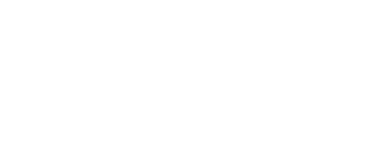 Hippo Technology